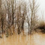 Three People Drown in Flooded Area Near Newcomb