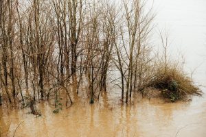 Three People Drown in Flooded Area Near Newcomb